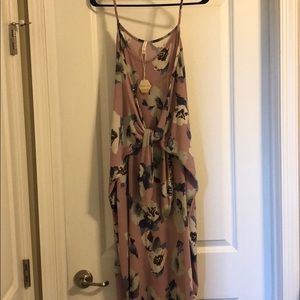 Pinkblush Maternity Dress